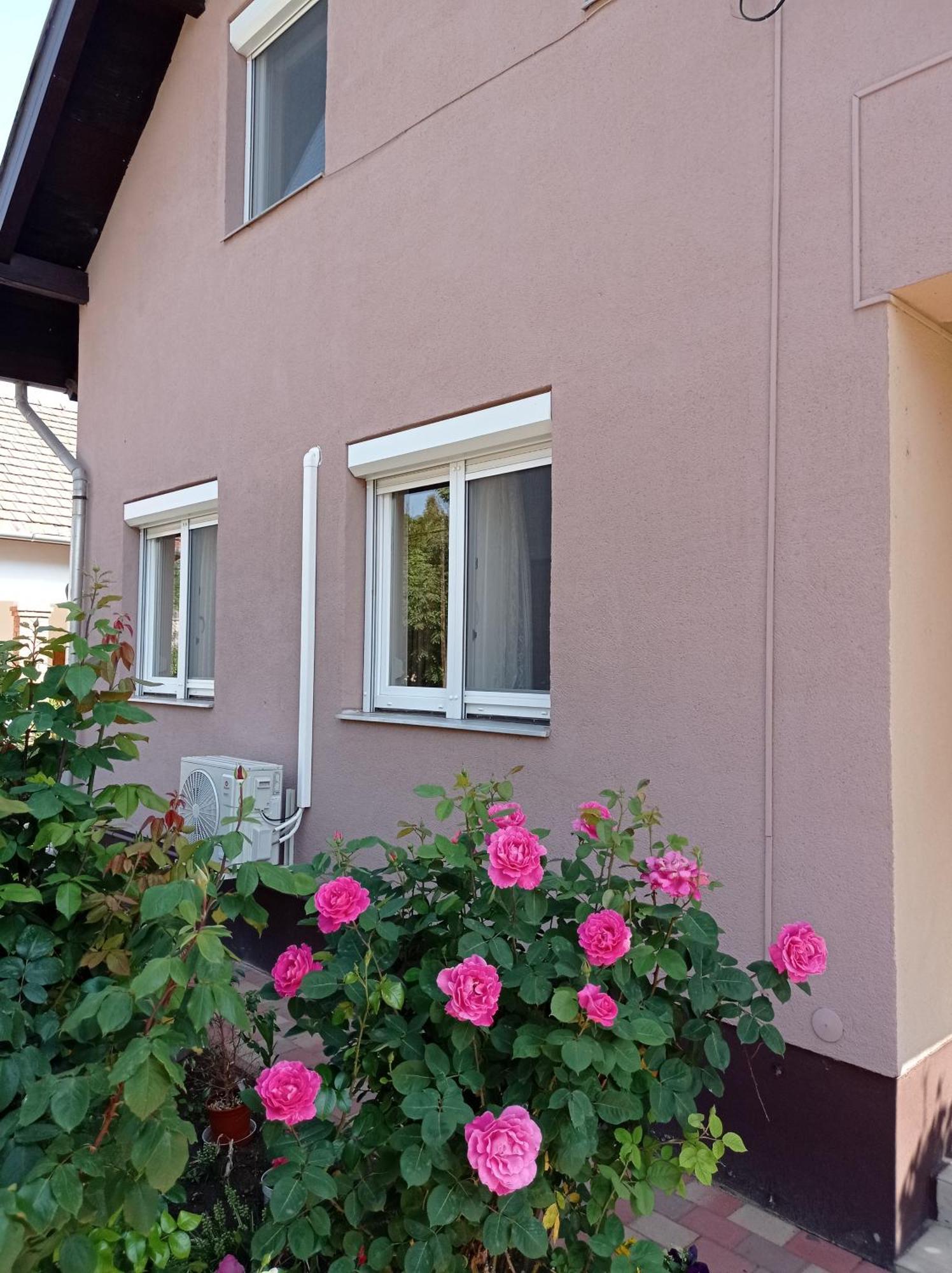 Partifecske Vendeghaz Hotel Tiszafured Exterior photo
